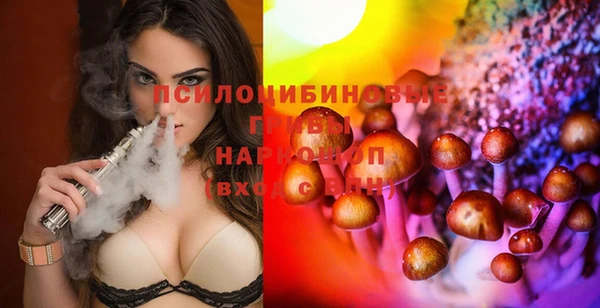 дурь Белокуриха